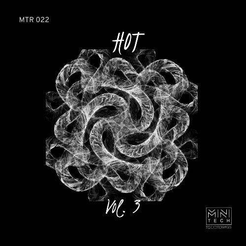 Minitech Project HOT RAW MUZIK chart