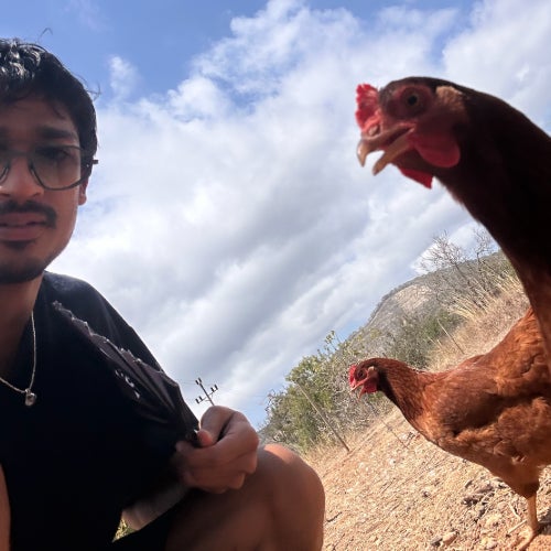 Mezclita
