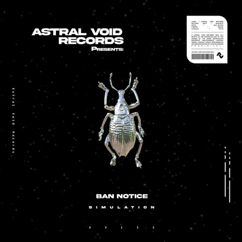 Cover art for Simulation