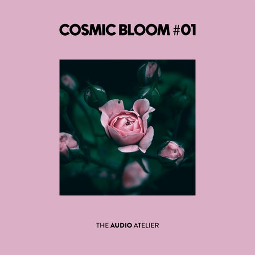 Cosmic Bloom #01 (2025) - Melodic House & Techno,Mainstage,Electronica,Drum & Bass,Dance / Pop,Progressive House,House,Trance (Main Floor),Techno (Peak Time / Driving),Deep House