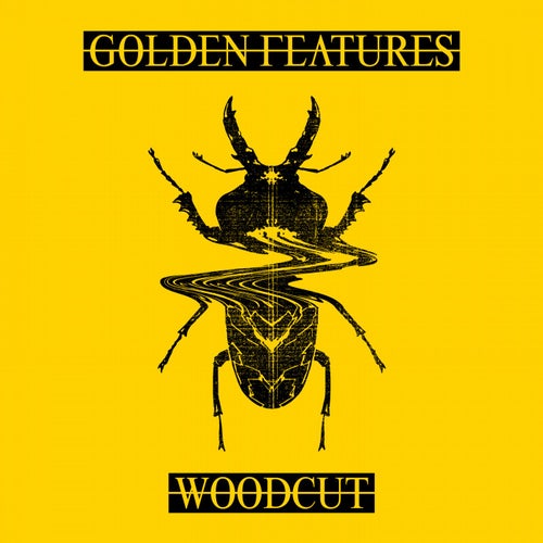 Woodcut (feat. Rromarin) (Remixes)