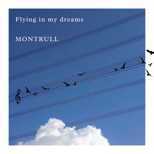 Flying in My Dreams