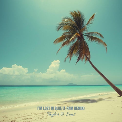I'm Lost In Blue (T-Pam Remix)