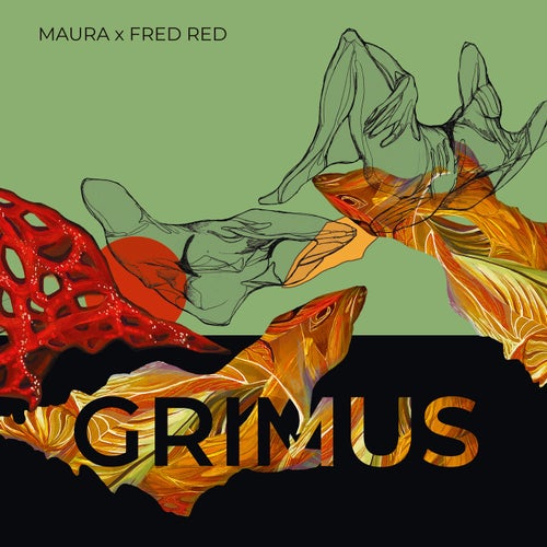 Cover art for Grimus