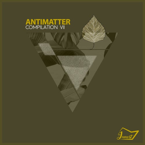 Antimatter VII