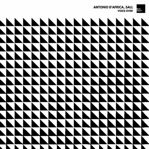 Cover art for Voice Over