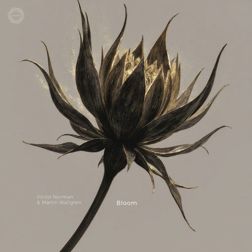 Bloom