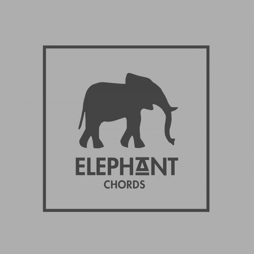 Elephant Chords