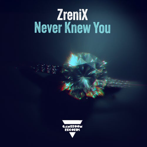 Never Knew You