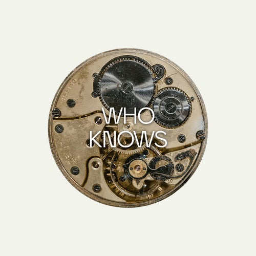 Who Knows (feat. Jono McCleery) (Extended Mix)