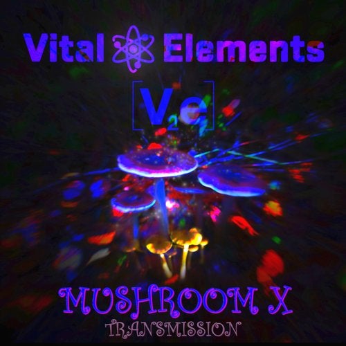Vital Elements - Mushroom X 2019 (EP)