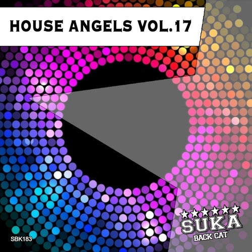 House Angels, Vol. 17