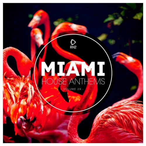 Miami House Anthems Vol. 29