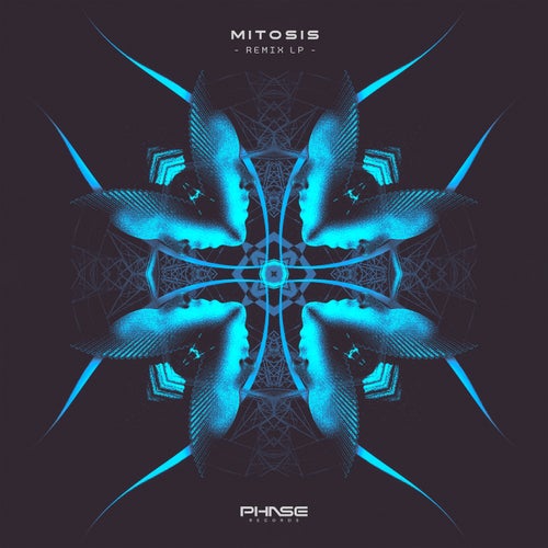 Mitosis Vol.1