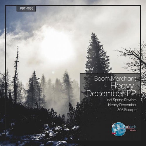 Heavy December
