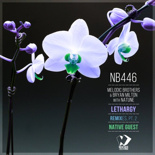 Lethargy: Remixes, Pt. 2