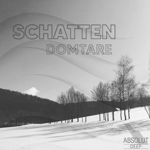 Cover art for Schatten