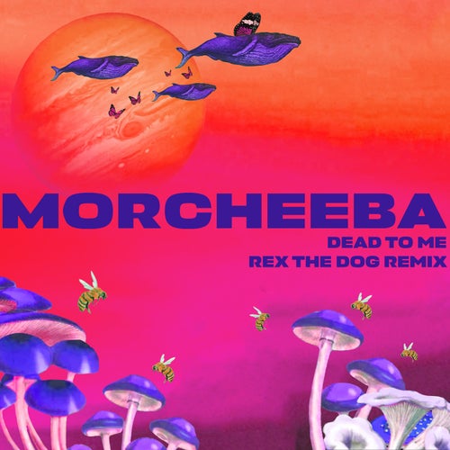 Dead To Me (Rex The Dog Remix)