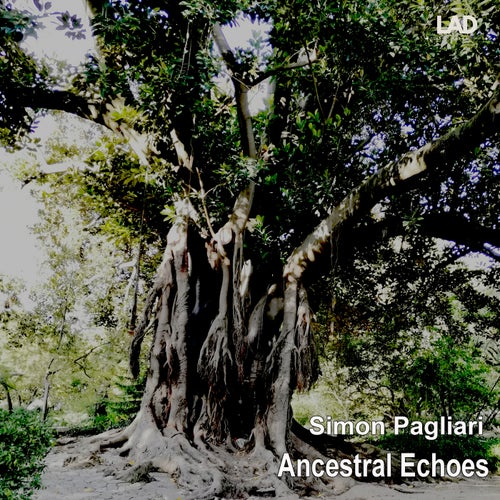 Ancestral Echoes
