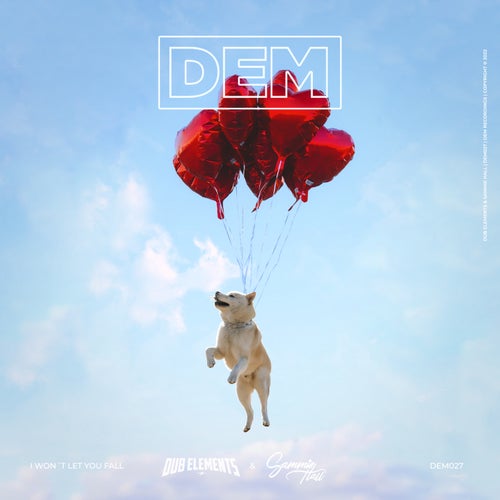 Cover art for I Won't Let You Fall