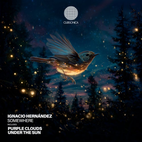  Ignacio Hernandez - Somewhere (2026) 