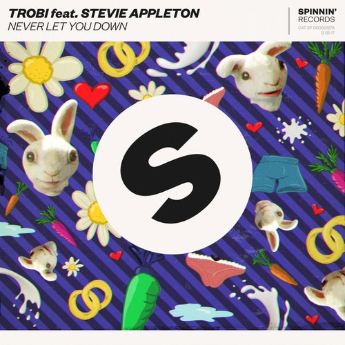 Never Let You Down (feat. Stevie Appleton) (Extended Mix)