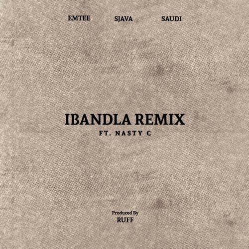 Ibandla (feat. Nasty C) (Remix)