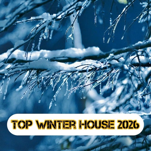 Top Winter House 2026