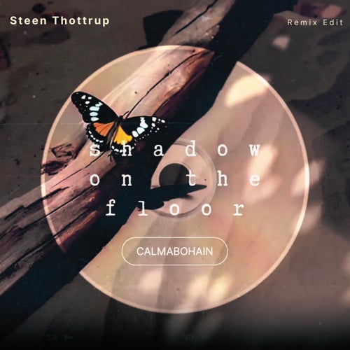 Shadow on the Floor (Steen Thottrup Remix Edit)