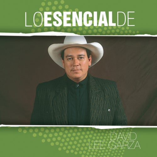 Lo Esencial De...