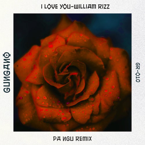 I love you (PA NGU Remix)