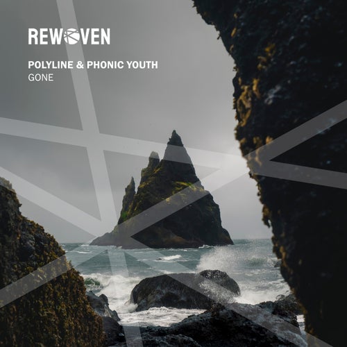  Polyline & Phonic Youth - Gone (2024) 