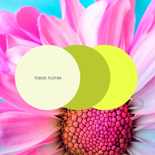 Cover art for Todos Flotan