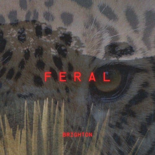 Feral