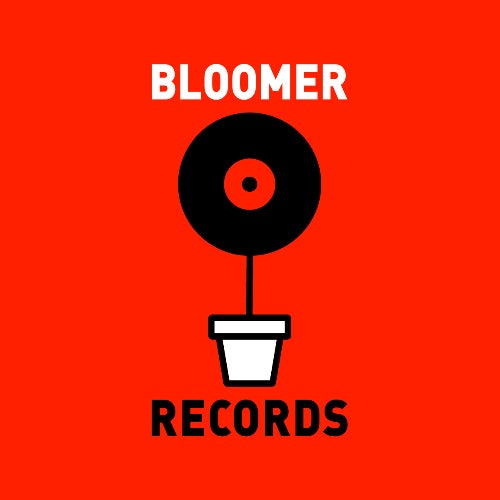 Bloomer records