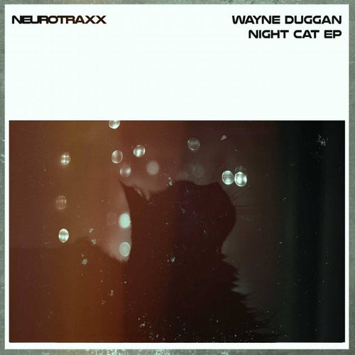 Night Cat EP