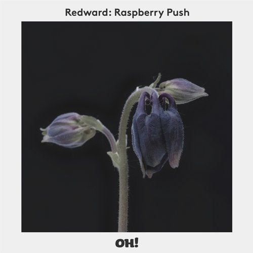 Cover art for Raspberry Push