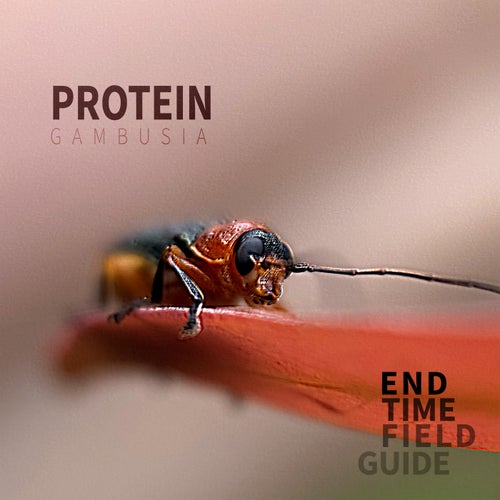 Protein