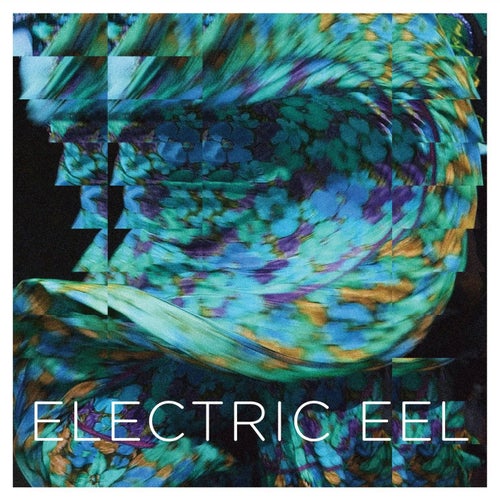 Electric Eel