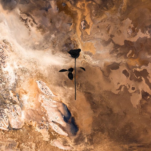 Cover art for Dramaton