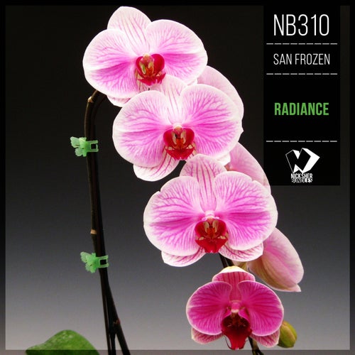Radiance