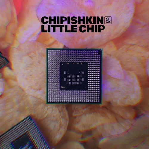 Chip