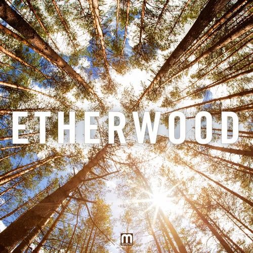 Etherwood - Etherwood 2013 (LP)