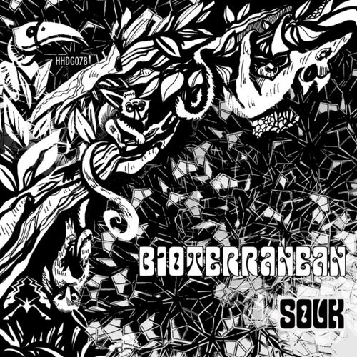 Bioterranean "Souk" EP