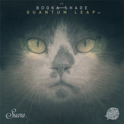Cover art for Quantum Leap EP