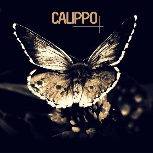 Calippo