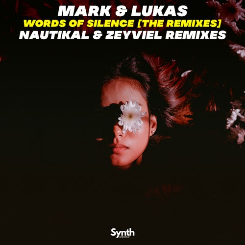 Words of Silence [The Remixes]