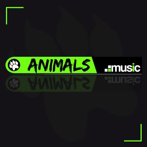 Animals Music