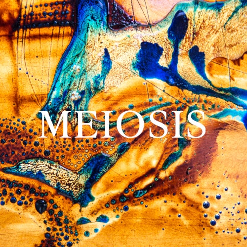 Meiosis Records