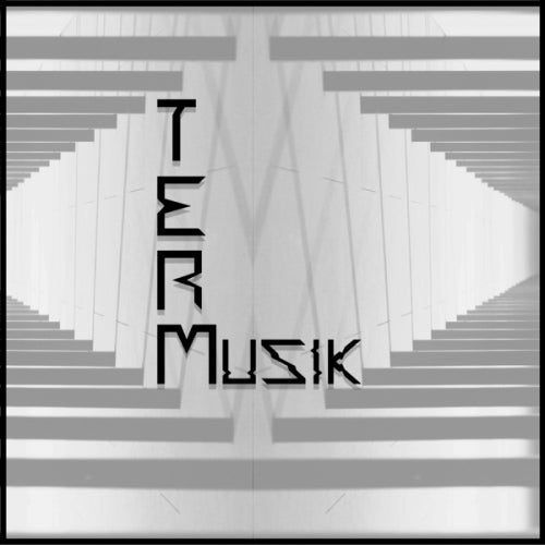 TERMusik